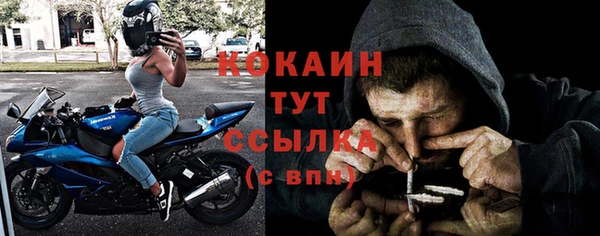 apvp Алексин
