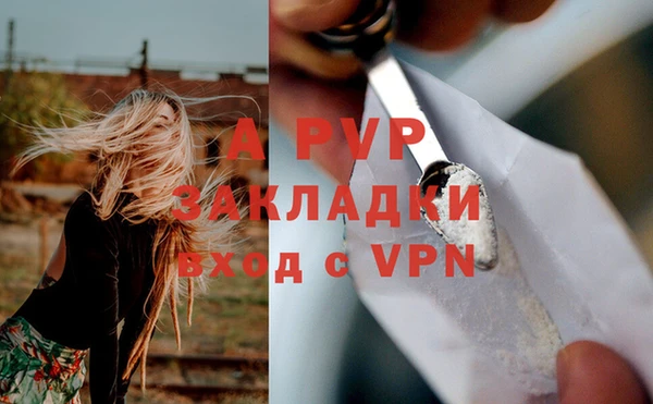apvp Алексин