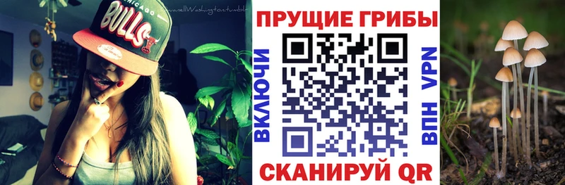Галлюциногенные грибы MAGIC MUSHROOMS  Вихоревка 